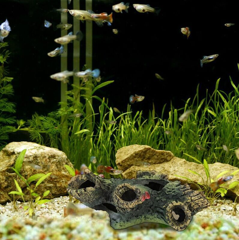 Aquarium Tree