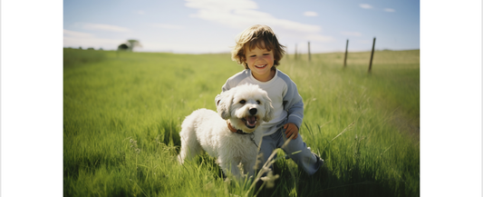 Fun Activities to Do with Your Pet: Keeping Them Entertained and Active