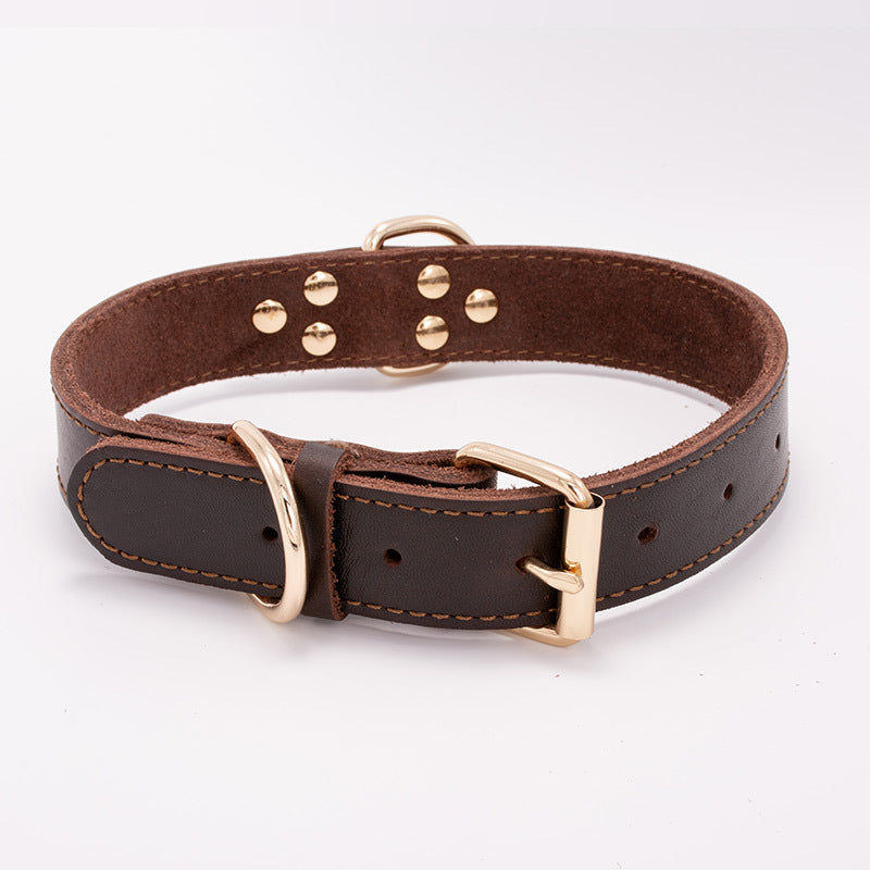 Wide Leather Dog Collar