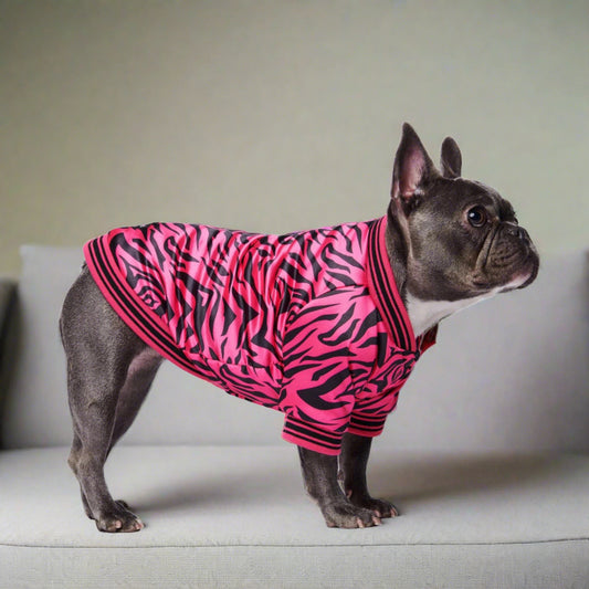 Pink Zebra Dog Jacket