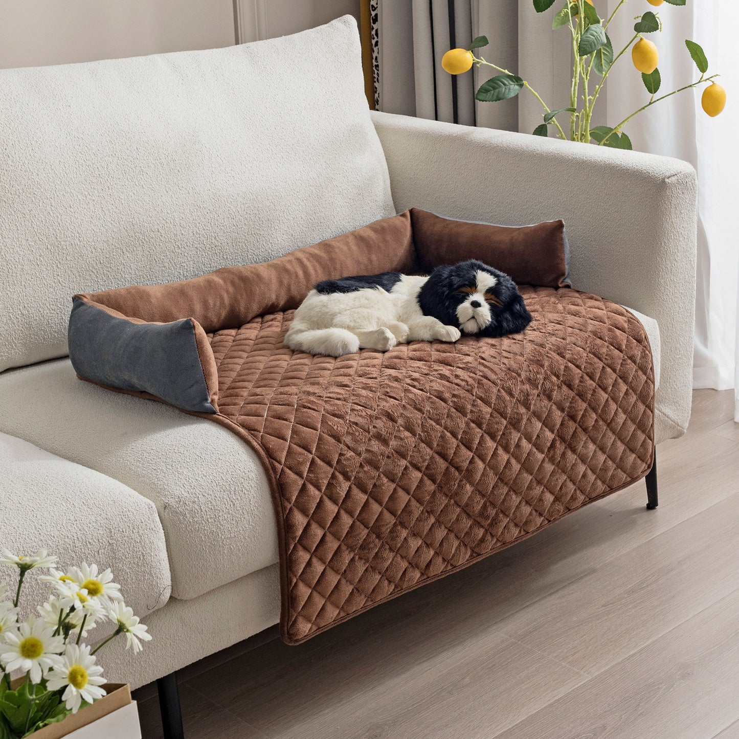 Sofa Protector Bed