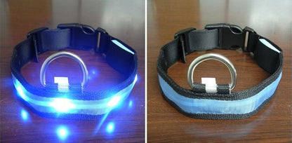 LED Light Flashing Dog Collar