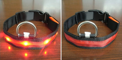 LED Light Flashing Dog Collar