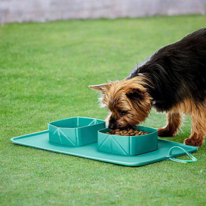 Silicone Non-Slip Travel Bowls