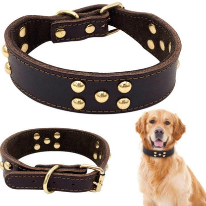 Wide Leather Dog Collar