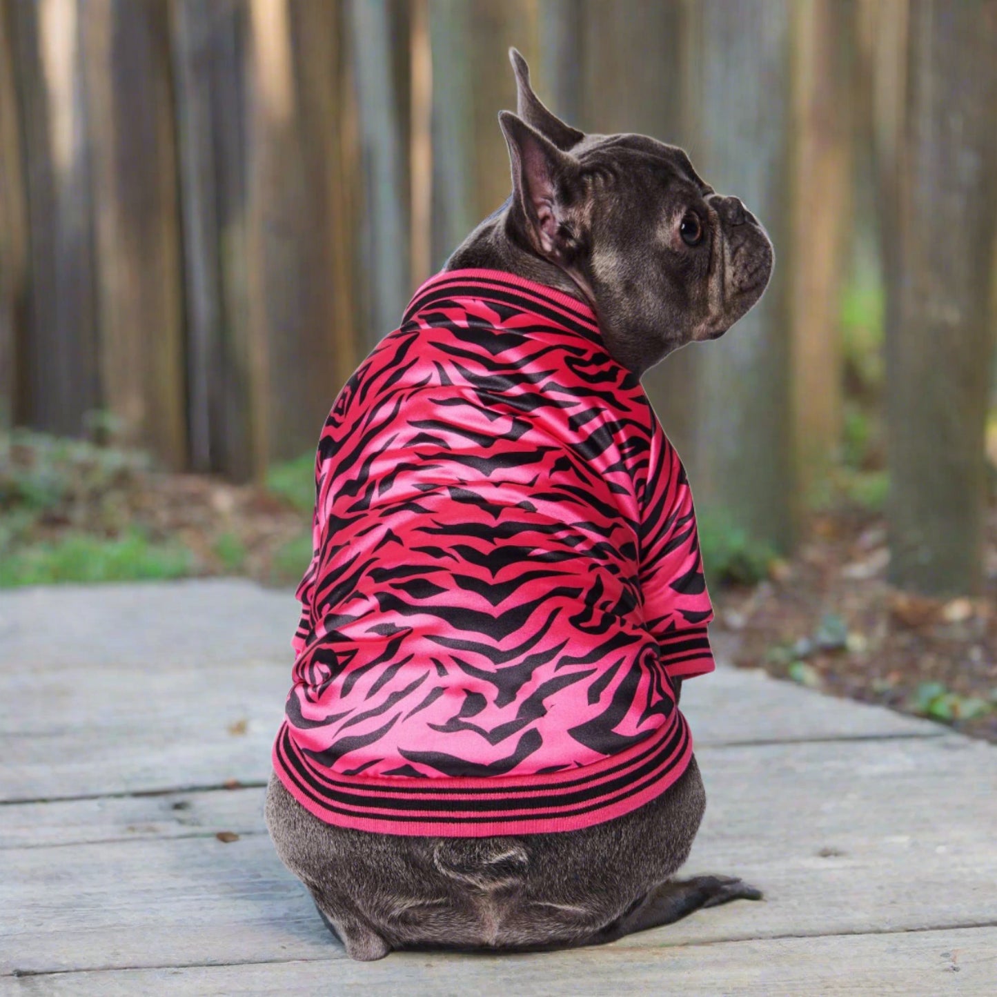 Pink Zebra Dog Jacket