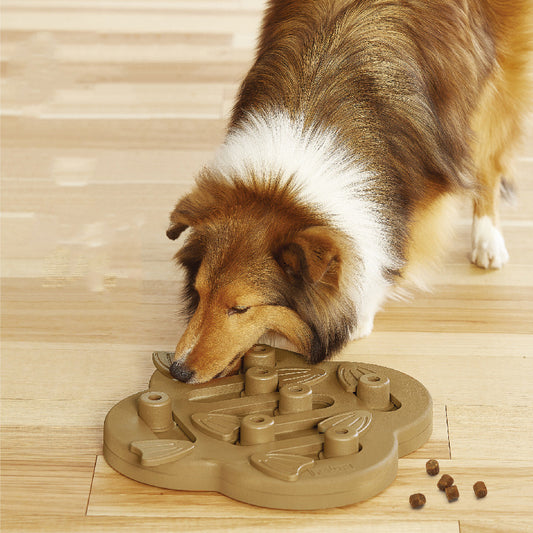 Pet Puzzle Toy with Hide able Treats