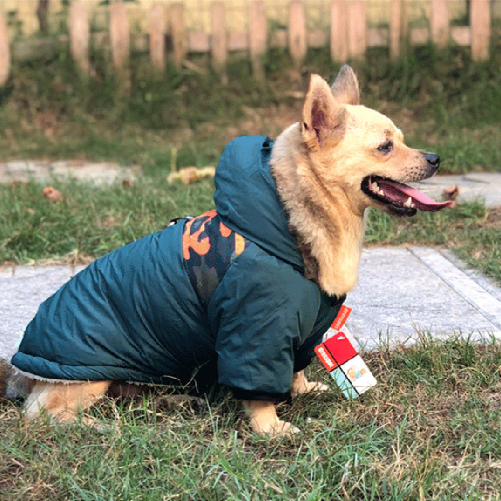 Stylish Warm Coat with Leash Attachment Point