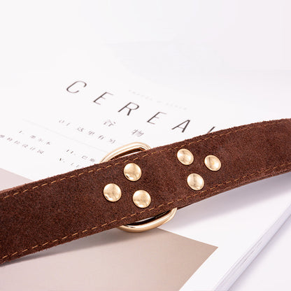 Wide Leather Dog Collar