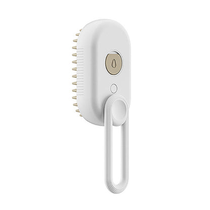 Electric Steam Brush