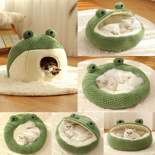 Green Frog Beds