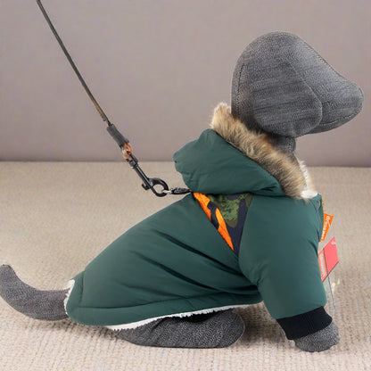 Stylish Warm Coat with Leash Attachment Point