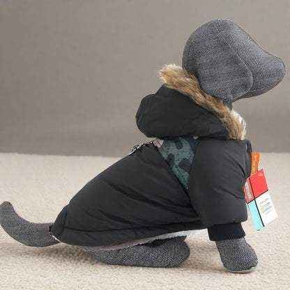 Stylish Warm Coat with Leash Attachment Point