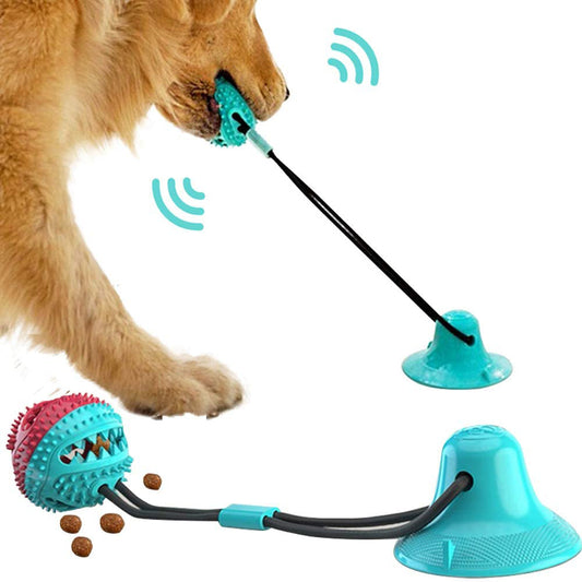 Dog Ball Toy with Suction Cup