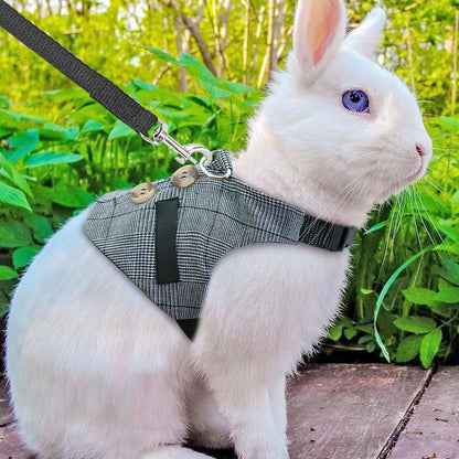 Rabbit Dress And Leash