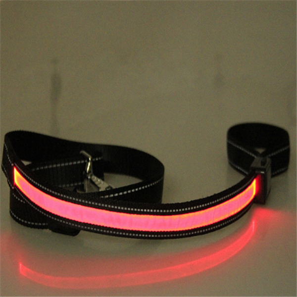 Fluorescent Collar