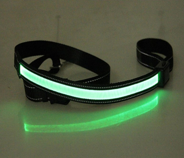 Fluorescent Collar