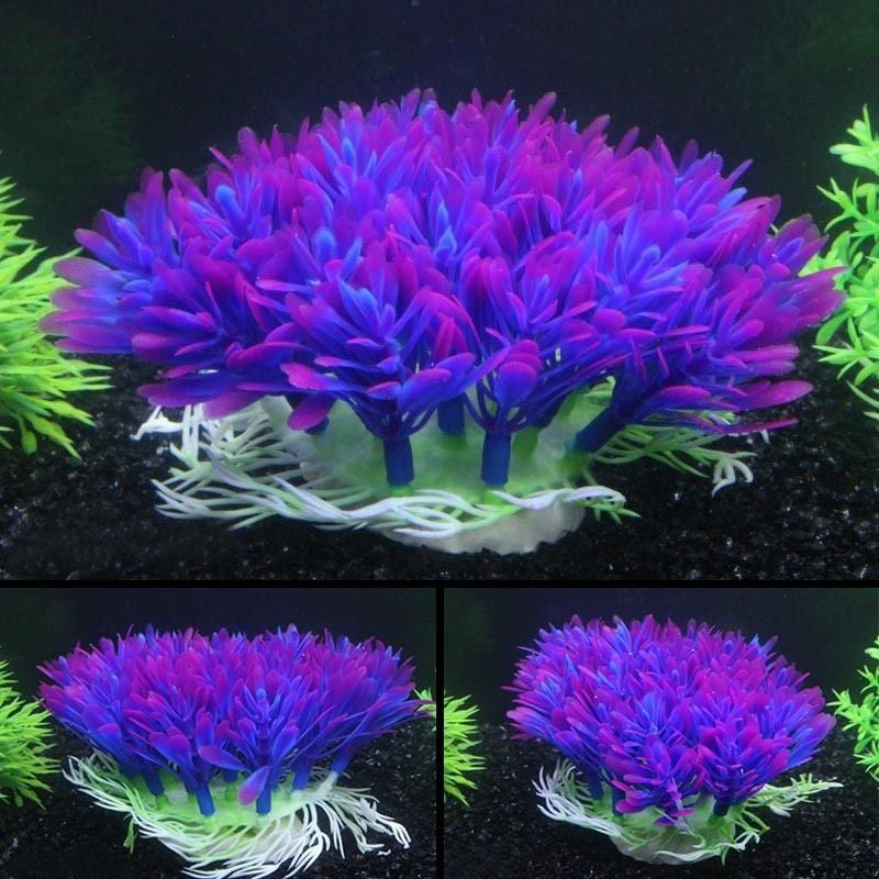 Aquarium Purple Flower