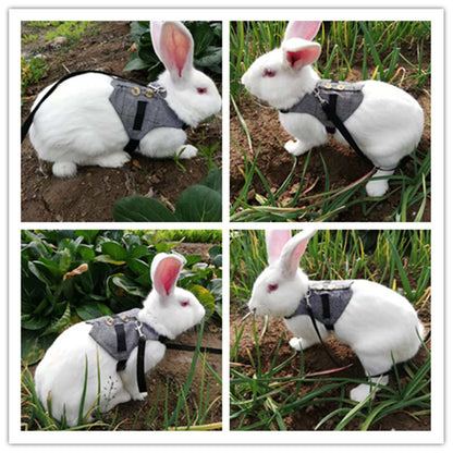 Rabbit Dress And Leash