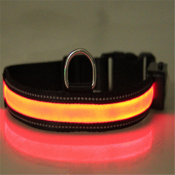 Fluorescent Collar