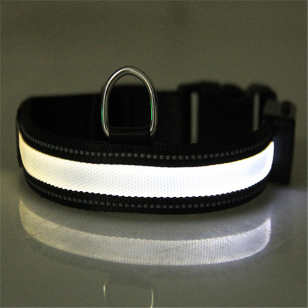 Fluorescent Collar