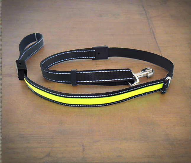 Fluorescent Collar