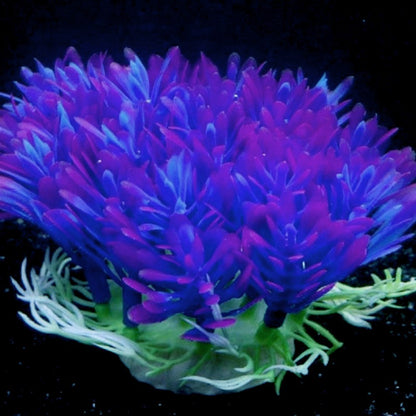 Aquarium Purple Flower