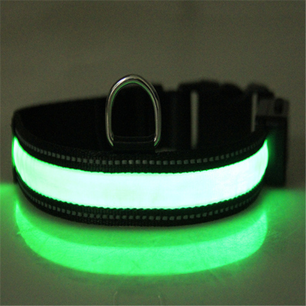 Fluorescent Collar