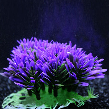 Aquarium Purple Flower