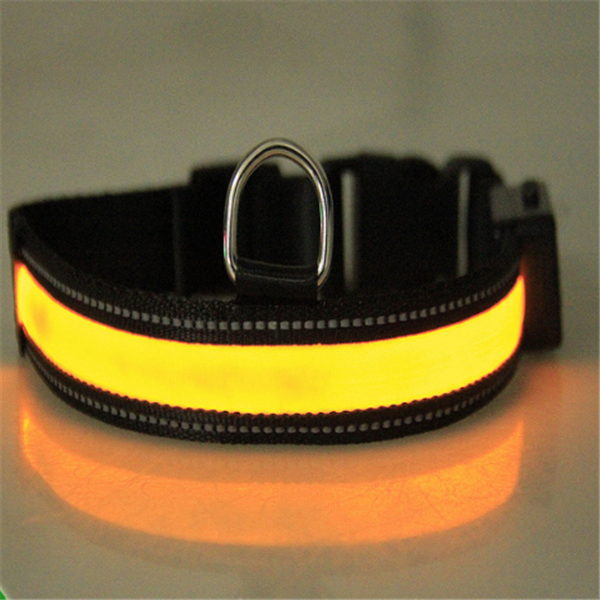 Fluorescent Collar