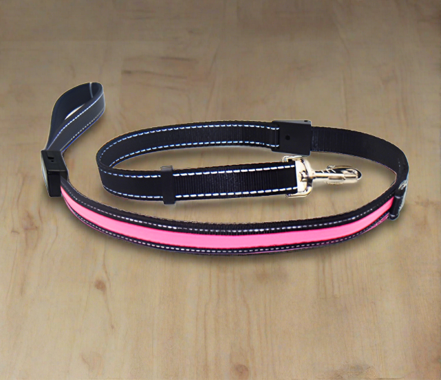 Fluorescent Collar