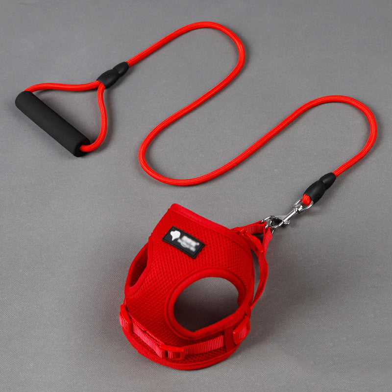 Dog Leash with Harness