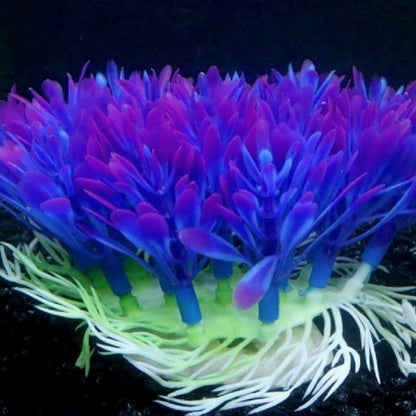 Aquarium Purple Flower