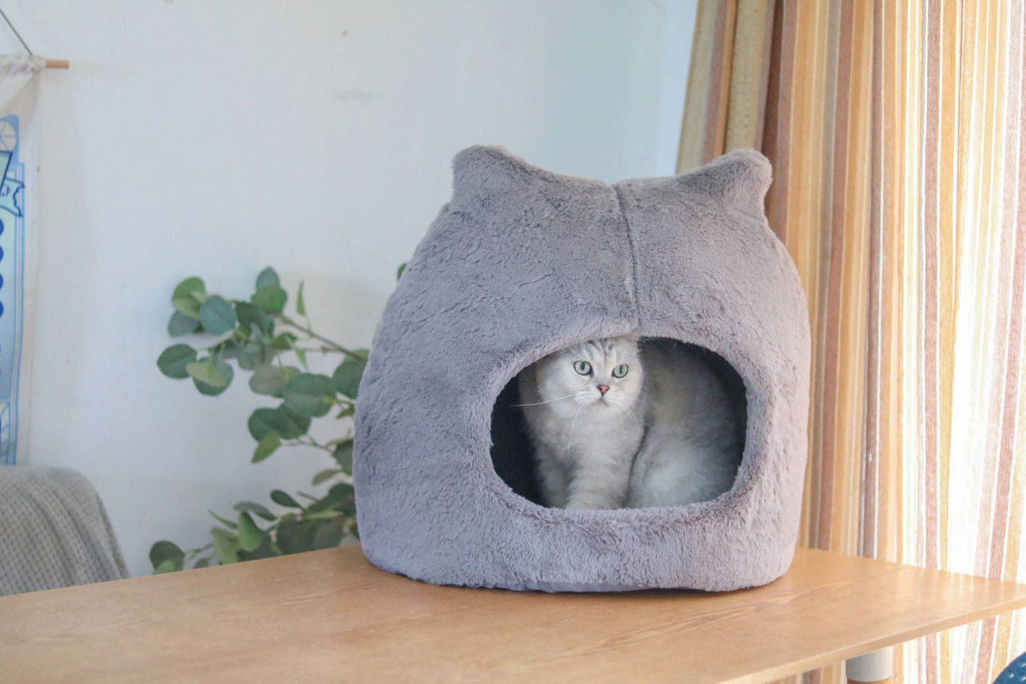 Soft Comfy Cat Ear Hideaway