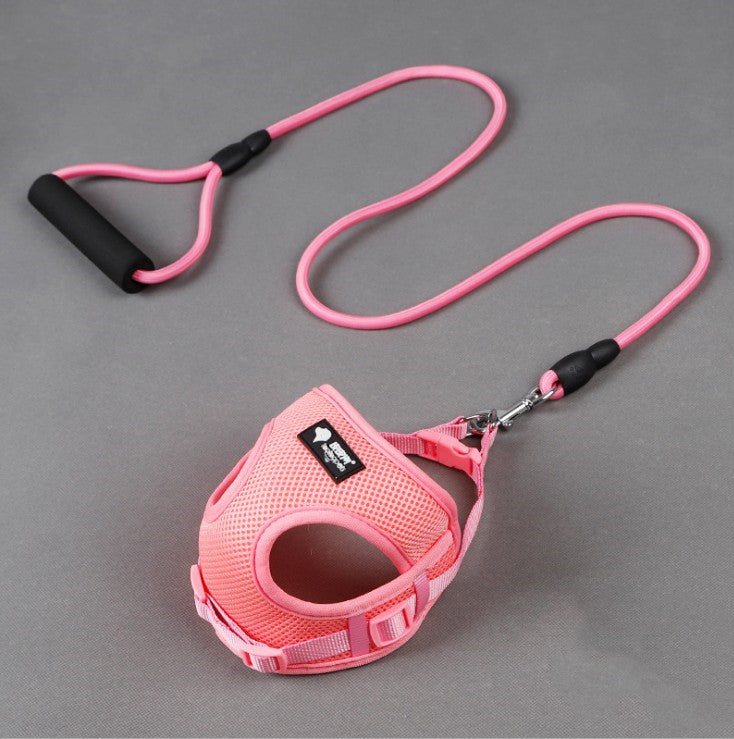 Dog Leash with Harness