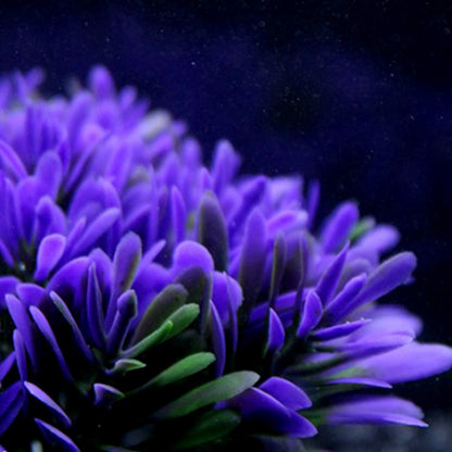 Aquarium Purple Flower