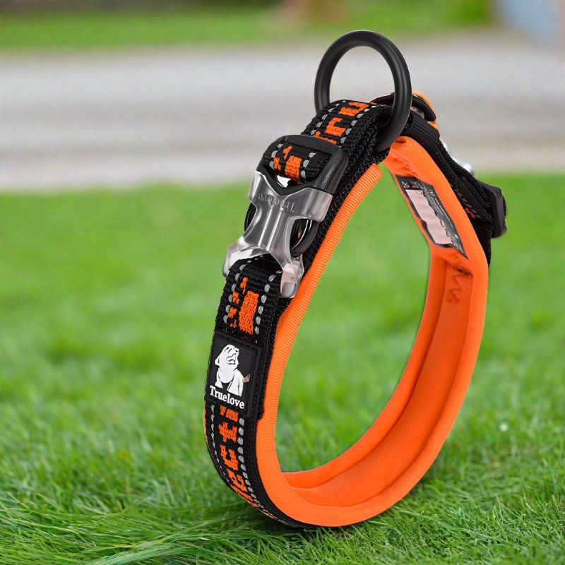 Sport Dog Collar